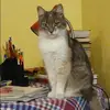 Отзыв от Людмила Глушкова